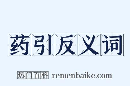 药引反义词是什么意思的图片